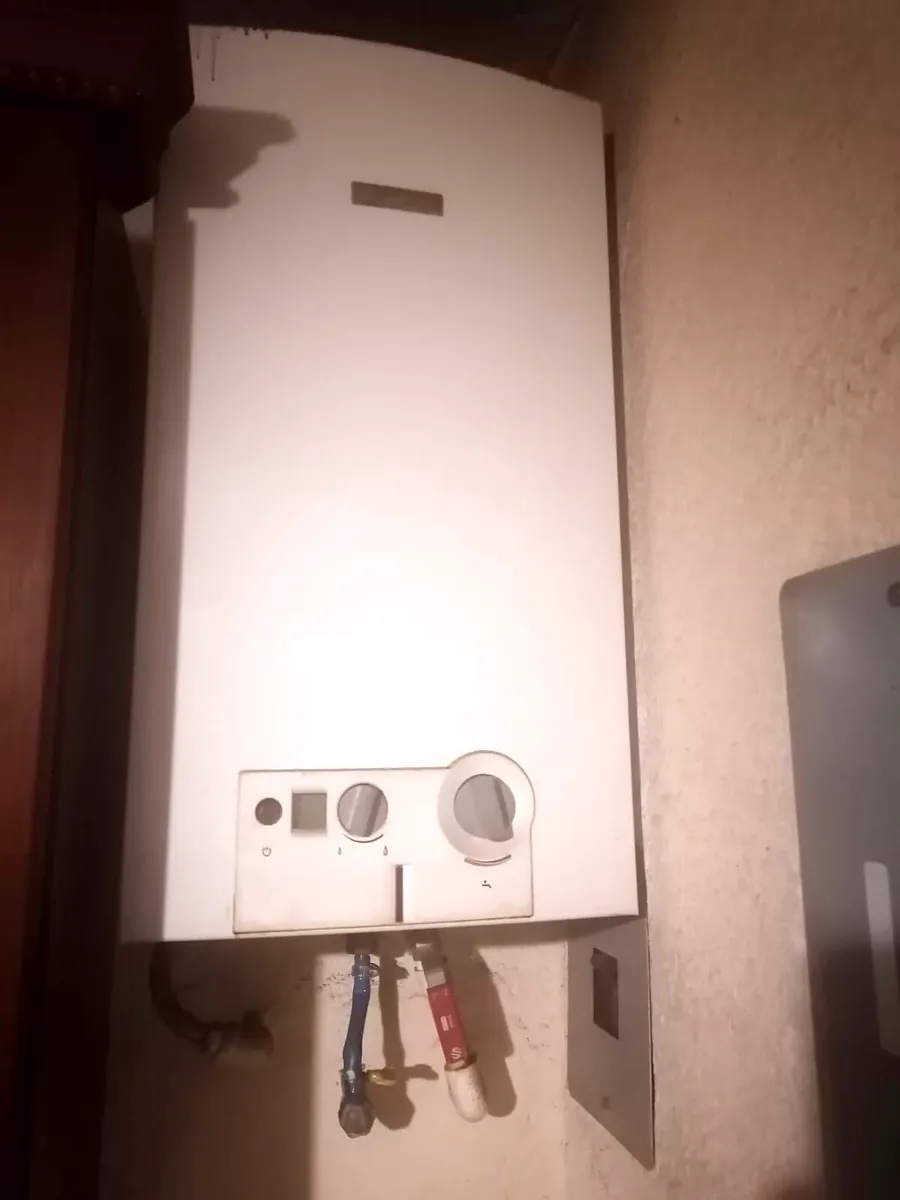 Calentador de agua a gas instalado en pared