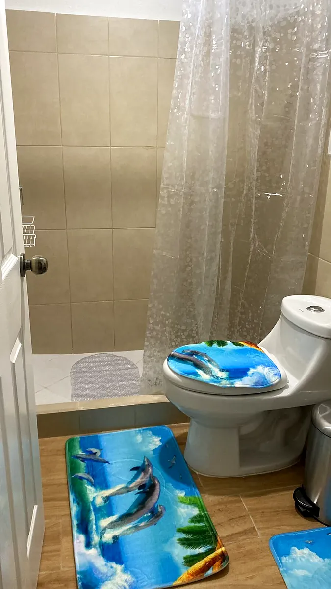Baño remodelado con ducha e inodoro